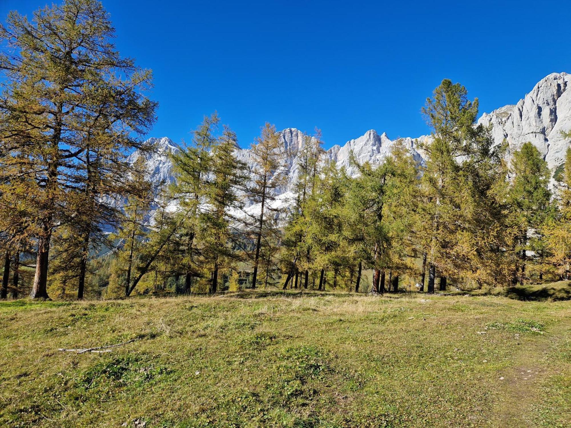 Appartement Romantikapartment Mit Sommercard Ramsau am Dachstein