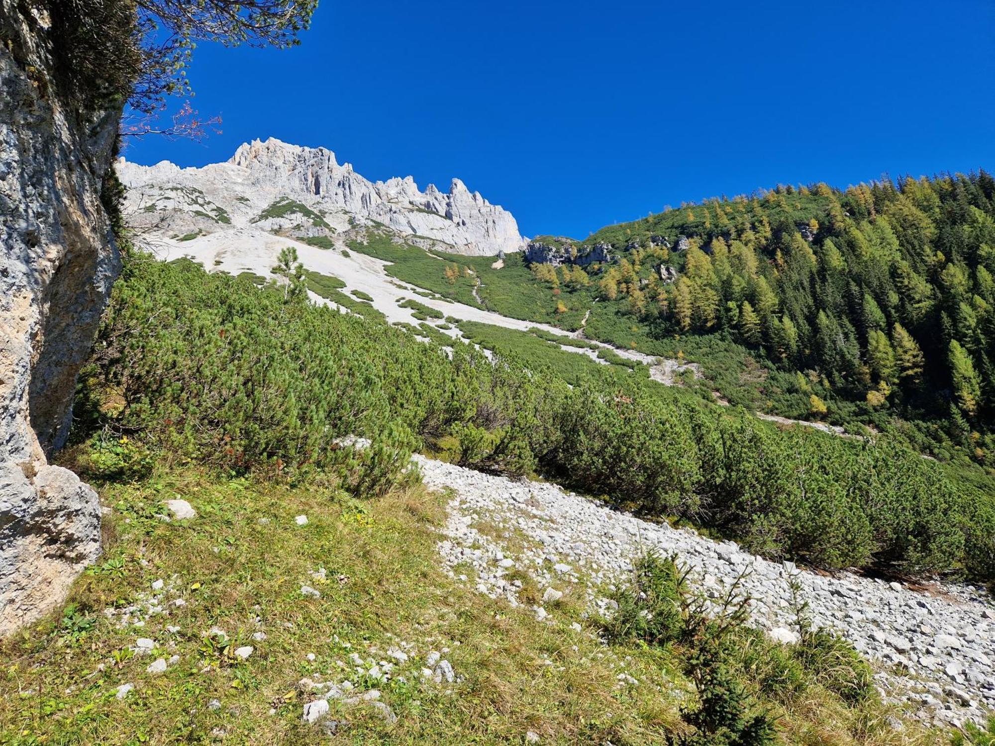 Romantikapartment Mit Sommercard * Ramsau am Dachstein