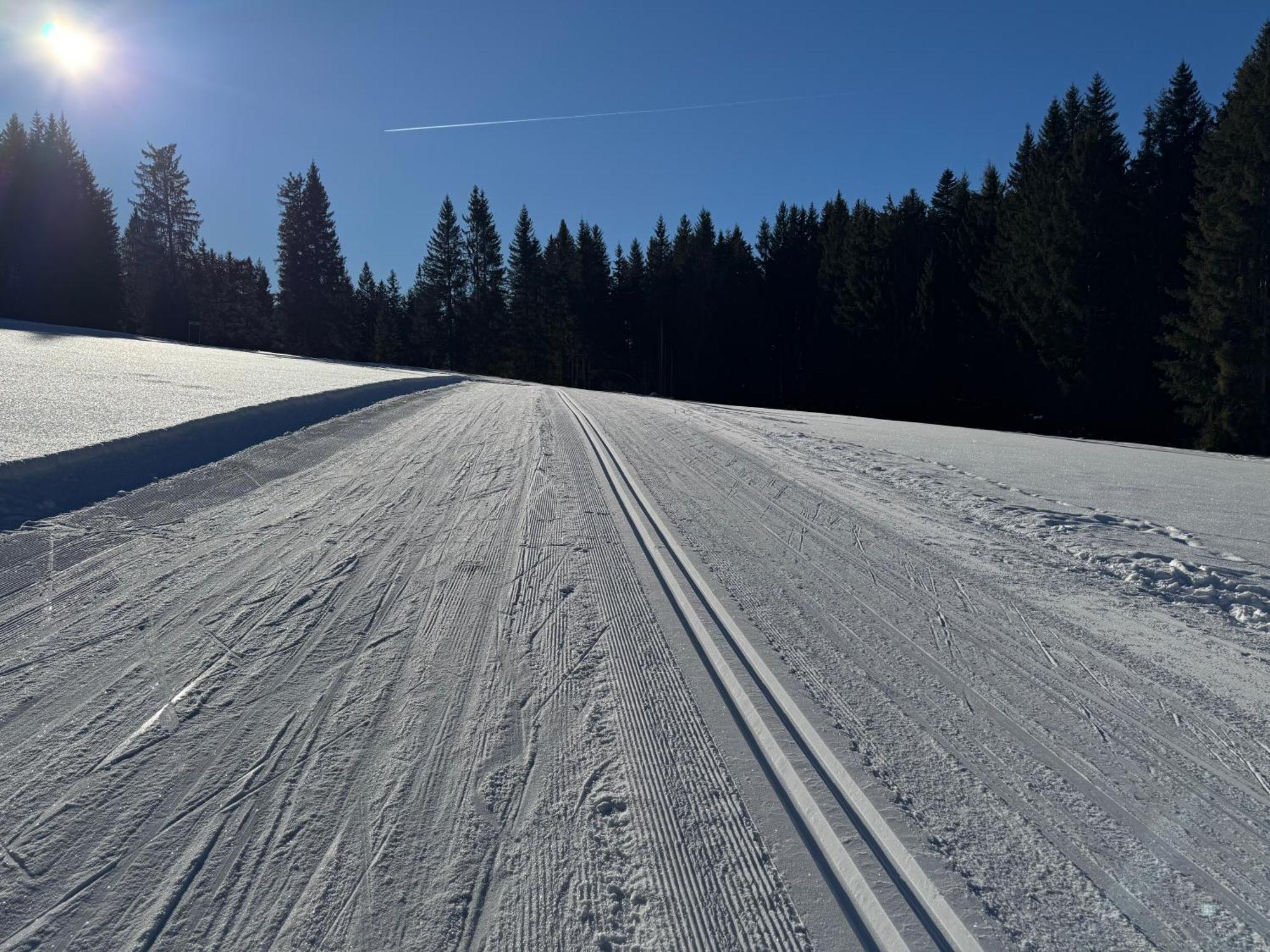 Romantikapartment Mit Sommercard Appartement Ramsau am Dachstein
