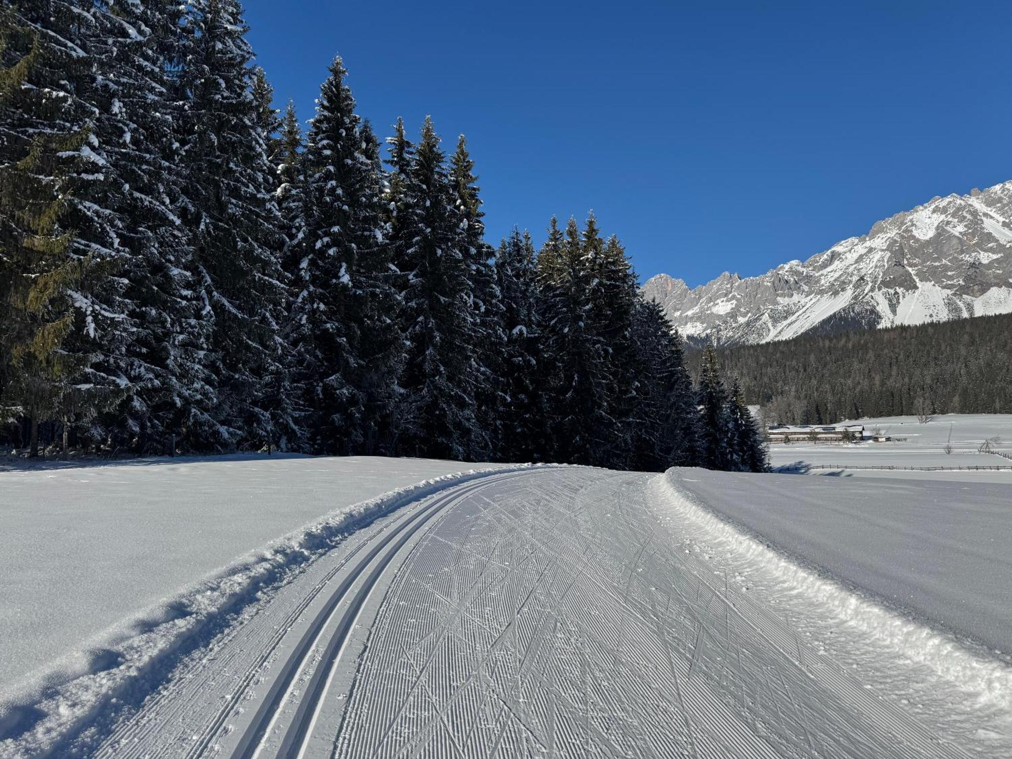 Romantikapartment Mit Sommercard * Ramsau am Dachstein